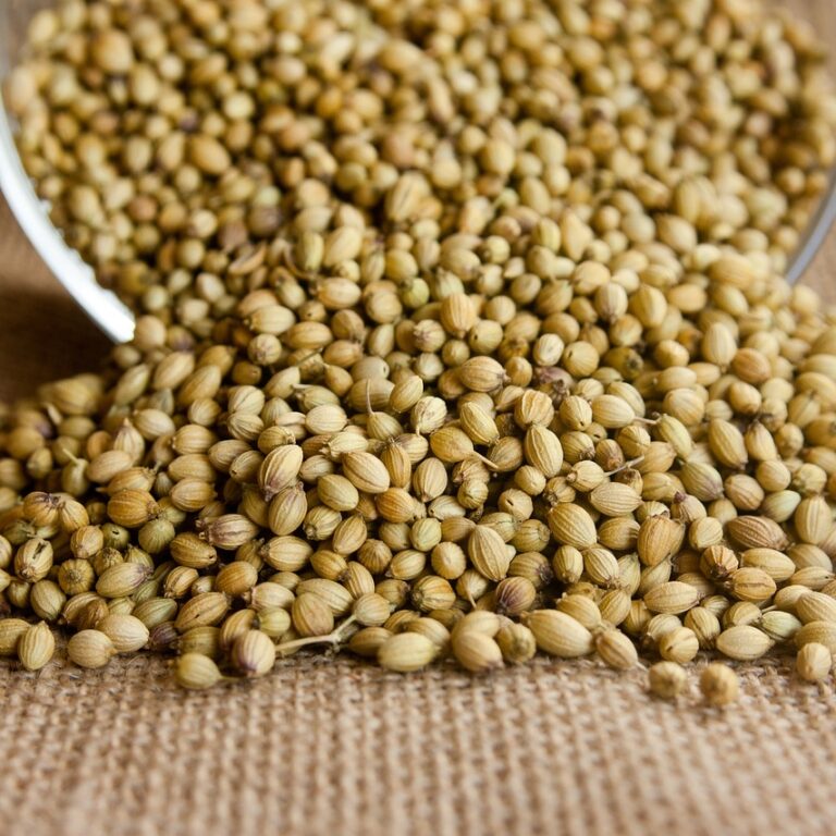 coriander, seeds, seasoning-166989.jpg