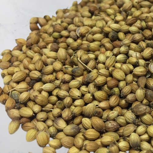 coriander seed